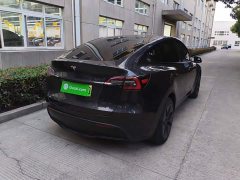 Tesla Model Y Rear-Wheel Drive - ფოტო 6
