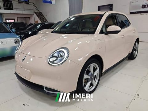 2022 ORA Good Cat 400km Standard Range Deluxe Ternary Lithium - ავტომობილი ჩინეთიდან
