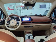 ORA Good Cat 400km Standard Range Deluxe Ternary Lithium - ფოტო 9