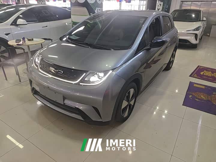 BYD Dolphin 2023 420km Freedom Edition - ავტომობილი ჩინეთიდან