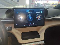 BYD Dolphin 2023 420km Freedom Edition - ფოტო 12