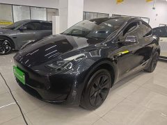 Tesla Model Y Rear-Wheel Drive - ფოტო 1