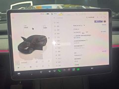 Tesla Model Y Rear-Wheel Drive - ფოტო 11