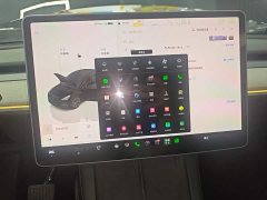 Tesla Model Y Rear-Wheel Drive - ფოტო 12