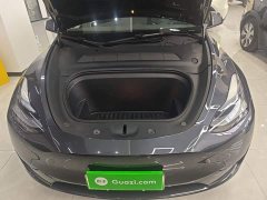 Tesla Model Y Rear-Wheel Drive - ფოტო 19