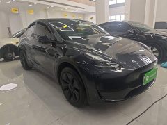 Tesla Model Y Rear-Wheel Drive - ფოტო 3