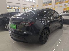 Tesla Model Y Rear-Wheel Drive - ფოტო 6