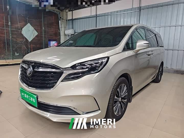 Buick GL8 ES Luzun 653T Smart Luxury - ავტომობილი ჩინეთიდან