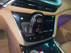 Buick GL8 ES Luzun 653T Smart Luxury - ფოტო 13