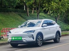 BYD Song Plus New Energy EV Glorious Edition 520km Luxury - ფოტო 1