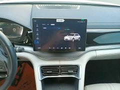 BYD Song Plus New Energy EV Glorious Edition 520km Luxury - ფოტო 12