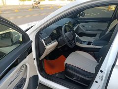 BYD Song Plus New Energy EV Glorious Edition 520km Luxury - ფოტო 15