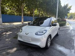 Wuling Binguo 203km Light Enjoy Edition - ფოტო 1
