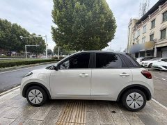 Wuling Binguo 203km Light Enjoy Edition - ფოტო 10