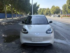 Wuling Binguo 203km Light Enjoy Edition - ფოტო 5