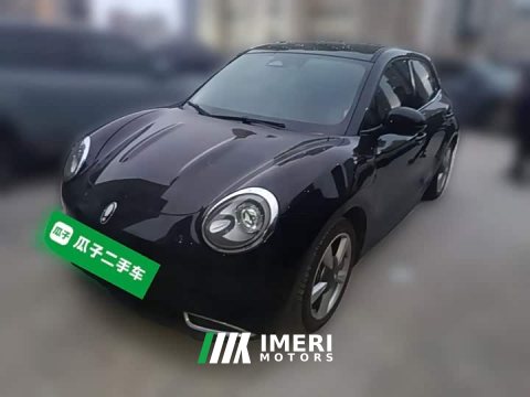 2022 ORA Good Cat 2021 400km Standard Range Athena Edition LFP Battery - ავტომობილი ჩინეთიდან