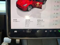Tesla Model Y Facelift Rear-Wheel Drive - ფოტო 11