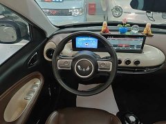 Wuling Binguo 333km Joy Edition - ფოტო 10