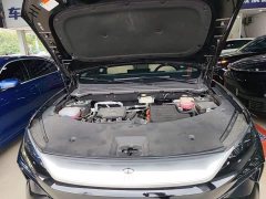 BYD Song Pro New Energy 2nd Gen DM-i 115KM Exceed - ფოტო 19