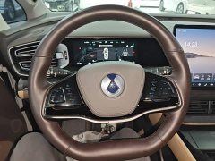 Denza D9 2022 DM-i 970 AWD Flagship - ფოტო 10