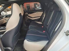 BYD Qin PLUS EV 500KM Luxury - ფოტო 16