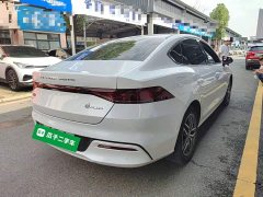 BYD Qin PLUS EV 500KM Luxury - ფოტო 6