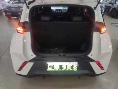 BYD Seagull Freedom Edition - ფოტო 18