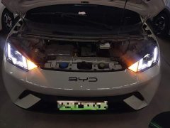 BYD Seagull Freedom Edition - ფოტო 19
