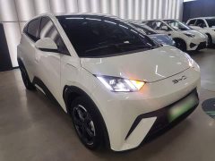 BYD Seagull Freedom Edition - ფოტო 3