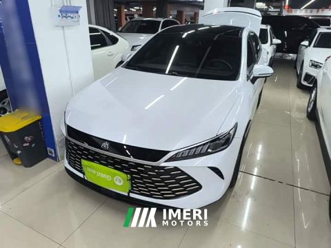 2025 BYD Qin PLUS DM-i Smart Drive Edition 55KM Leading