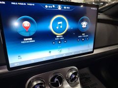 Denza X 2020 PHEV Premier Edition - ფოტო 12