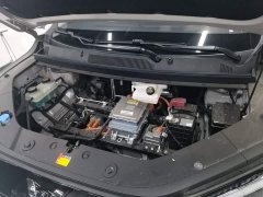 Wuling Starlight 730 New Energy 2025 Pure Electric 500km Luxury - ფოტო 19