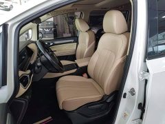 GAC Aion M6 PRO 270T DCT Luxury - ფოტო 14