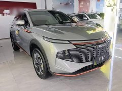 Haval Divine Beast 2022 1.5T Smart Enjoy Edition - ფოტო 3