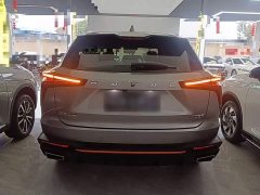 Haval Divine Beast 2022 1.5T Smart Enjoy Edition - ფოტო 5