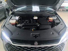BYD Qin PLUS DM-i Smart Drive Edition 55KM Leading - ფოტო 19