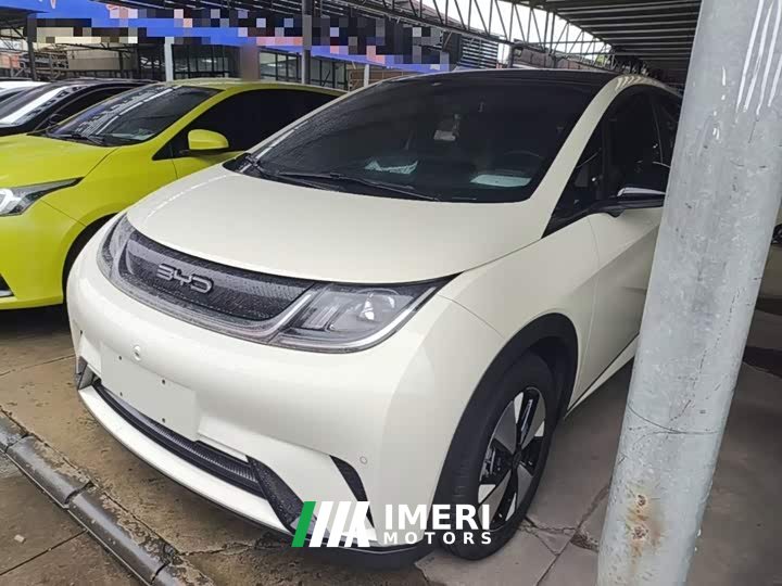 BYD Dolphin 2023 420km Fashion Edition - ავტომობილი ჩინეთიდან