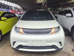 BYD Dolphin 2023 420km Fashion Edition - ფოტო 2