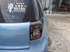 Flower Fairy 200km Classic - ფოტო 7