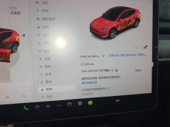 Tesla Model Y 2022 Facelift Rear-Wheel Drive - ფოტო 11