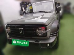 Tank 300 2.0T Gasoline Conqueror - ფოტო 4