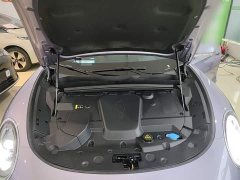 ORA Lightning Cat 555km Deluxe Edition - ფოტო 19