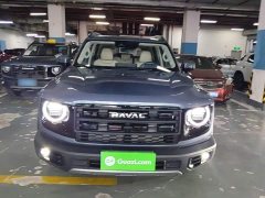 Great Wall Dachshund 2026 1.5T DCT Border Collie Edition - ფოტო 2