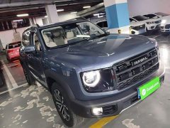 Great Wall Dachshund 2026 1.5T DCT Border Collie Edition - ფოტო 3