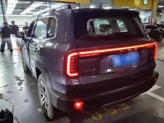 Great Wall Dachshund 2026 1.5T DCT Border Collie Edition - ფოტო 4