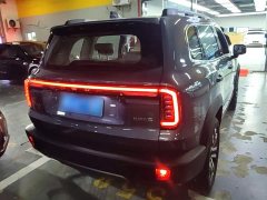 Great Wall Dachshund 2026 1.5T DCT Border Collie Edition - ფოტო 6