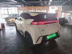BYD Seagull Vitality Edition - ფოტო 4