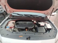 Geely Xingrui Dongfang Yao 1.5TD Fuyao Edition - ფოტო 19