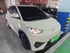 BYD Seagull Smart Drive 305km Vitality Edition - ფოტო 3