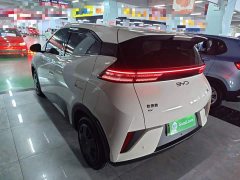 BYD Seagull Smart Drive 305km Vitality Edition - ფოტო 4